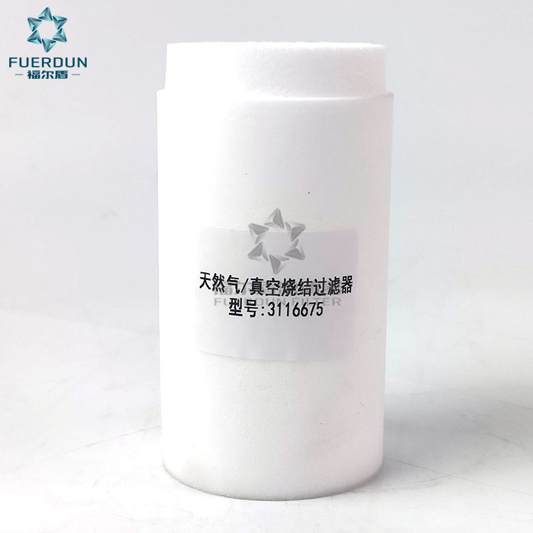 天然气滤清器 3116675,SG 5005,SG5005